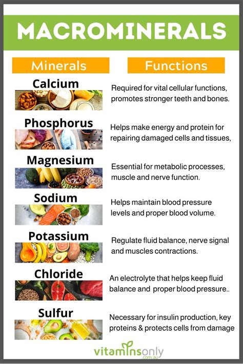 Macrominerals And Their Functions Nutrition Facts Healthy Eating