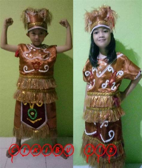 Baju Adat Papua Anak Lazada Indonesia