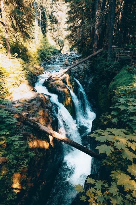 15 Jaw Dropping Stops To Take On Your Olympic Peninsula Road Trip