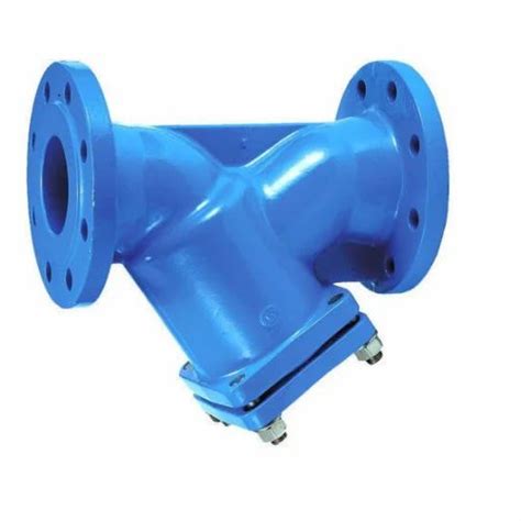 Cast Iron Strainer At Rs Piece Ductile Iron Y Strainer In Chennai ID