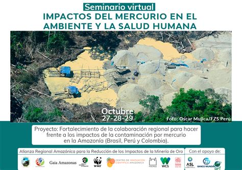 Seminario Virtual Impactos Del Mercurio En El Ambiente Y La Salud