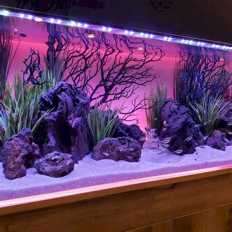20 Decorating Fish Tank Ideas