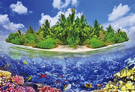 Laeacco Tropical Island And Underwater World Photography Background