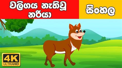 වලිගය නැතිවූ නරියා Sinhala Cartoon Surangana Katha 4k Uhd
