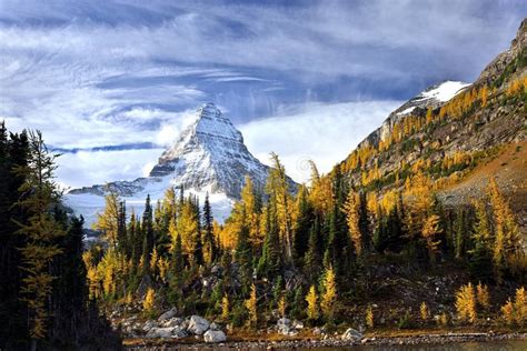 Mount Assiniboine With Sunburst And Cerulean Lake In Autumn Pine Forest