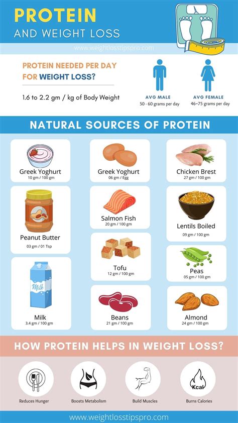 Eating Protein To Lose Weight And Natural Sources Of Protein Weight Loss
