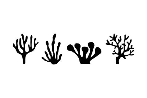 Coral Silhouettes