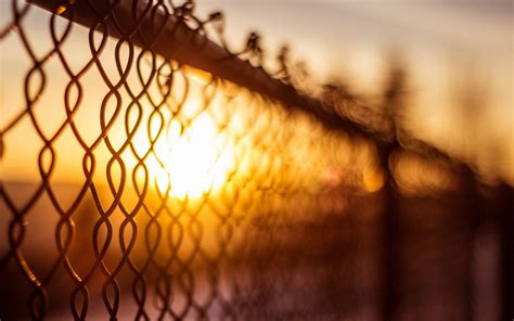 Hd Wallpaper Close Up Net Fence Fencing Sun Blur Bokeh Day Background