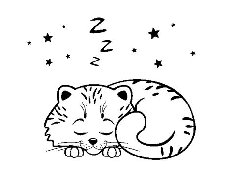 Dibujo De Gatito Durmiendo Para Colorear Dibujos Net