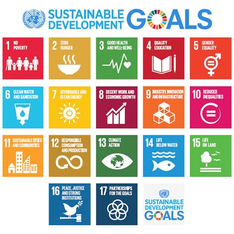 Measuring Earn & Learn's success using the United Nations Sustainable ...