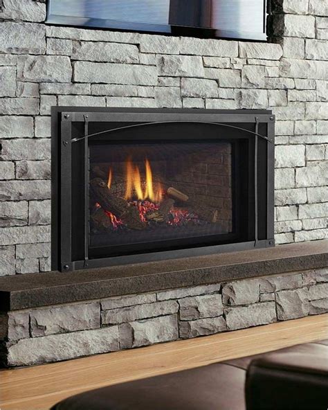A unit of logs that can be gas insert: Gas Log FIREPLACE Inserts | Home Interior Exterior Decor ...