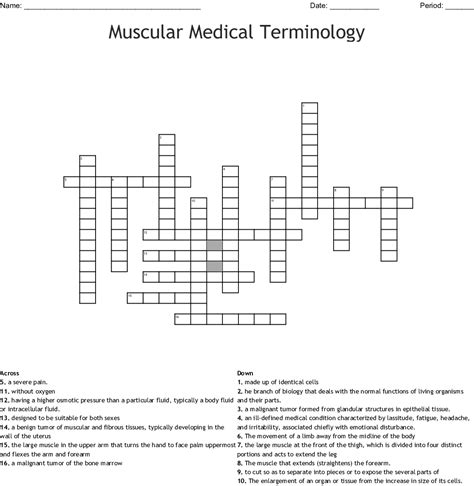 Muscular Medical Terminology Crossword Wordmint