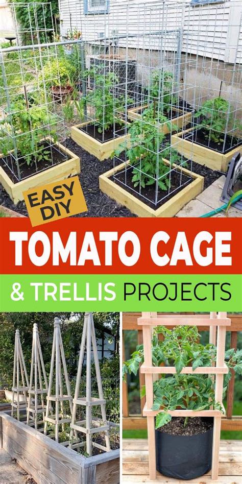 Easy Diy Tomato Cage And Trellis Ideas The Garden Glove