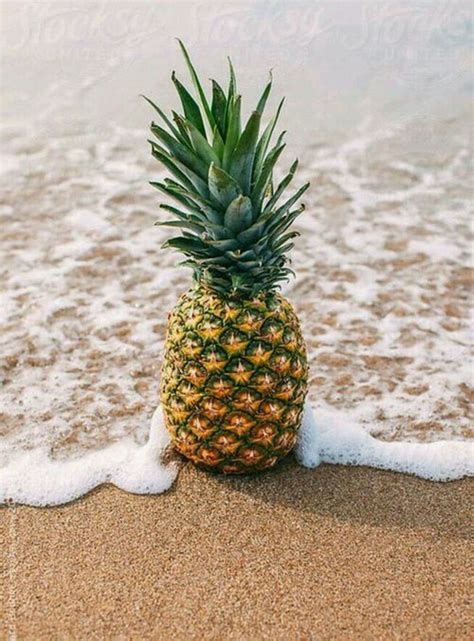 47 Cool Pineapple Wallpaper