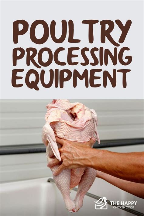 Poultry Processing Equipment Everything You Need To Butcher Chickens The Happy Chicken Coop