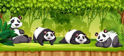Set Of Pandas In Jungle 292491 Vector Art At Vecteezy