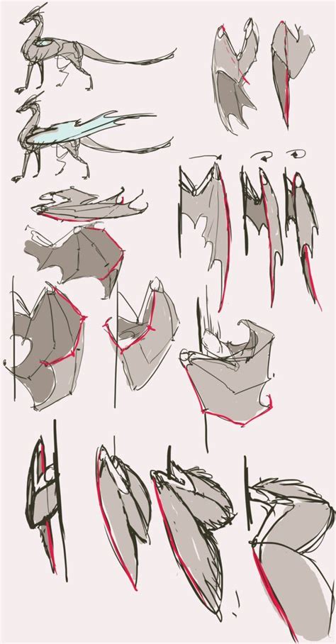 Sep 18, 2013 · as it was said before, you don't need to add that many wrinkles to the folded membrane. (folded)Wings reference part2 by Remarin | Dragon sketch ...
