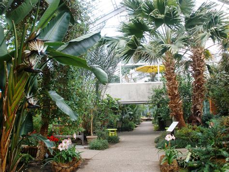 Indoor Fun Matthaei Botanical Gardens Conservatory Ann Arbor Brooke