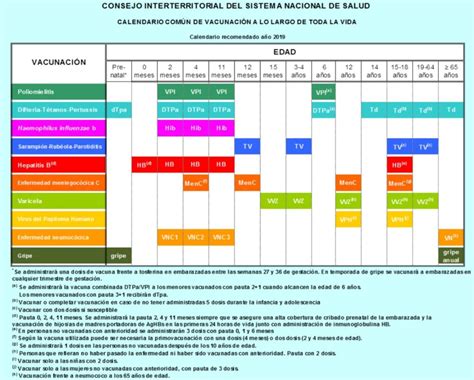 calendario comun de vacunas amys