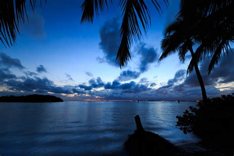 Nature And Travel Photography Blue Sunset Among The Palm Trees