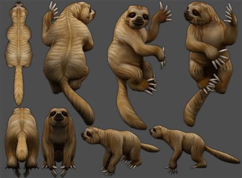 3d Model Sloth Vr Ar Low Poly Rigged Cgtrader