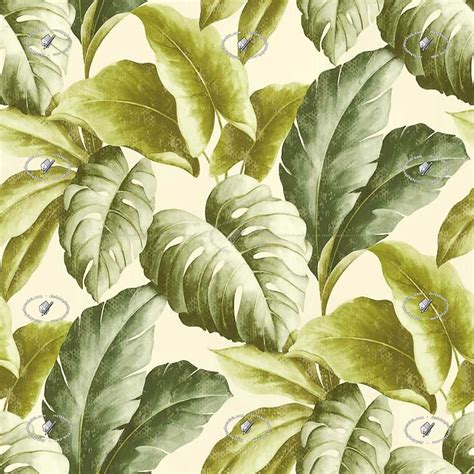 Tropical Leaves Wallpaper Texture Seamless 20935