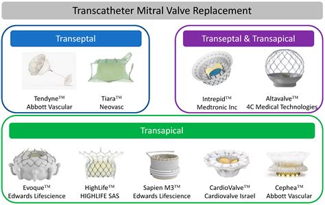 Jcm Free Full Text Transcatheter Treatment Of Mitral Regurgitation