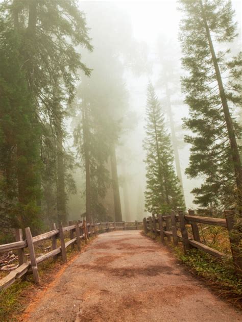The 15 Best Things To Do In Sequoia National Park Wandering Wheatleys