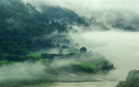 Nature Mist Landscape River Mountain Forest India Spring Grass