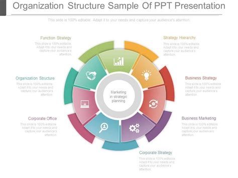 Organization Structure Sample Of Ppt Presentation Powerpoint Slides