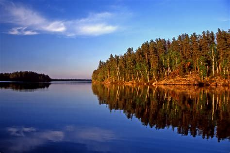 Body Of Water Surrounded With Trees Hd Wallpaper Wallpaper Flare