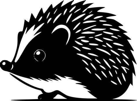 Hedgehog Black And White Vector Illustration 24142451 Vector Art At