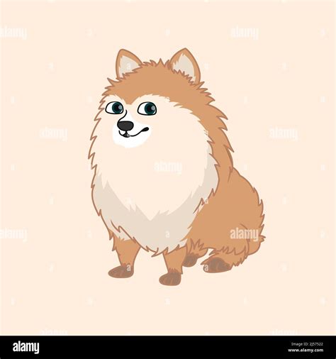 Pomeranian Dog Cartoon Illustration Stock Vector Images Alamy