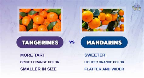 Tangerines Vs Mandarins The Sweet Showdown Of Similarities And