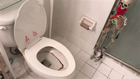 king toilet youtube