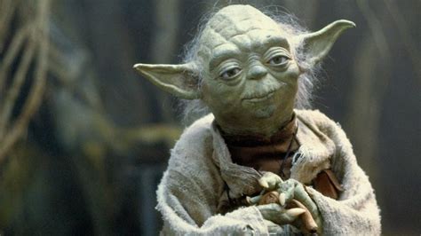Photo Baby Yoda With Grey Hair