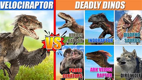 Velociraptor Vs Deadly Dinosaurs Spore Youtube