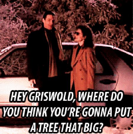 National lampoon's christmas vacation (1989) clip with quote talk about pissing your money away. National Lampoons Vacation Quotes Funny. QuotesGram