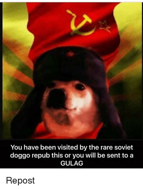 25 Best Memes About Soviet Doggo Soviet Doggo Memes