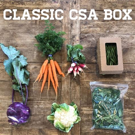 Csa Blue Sky Organic Farms