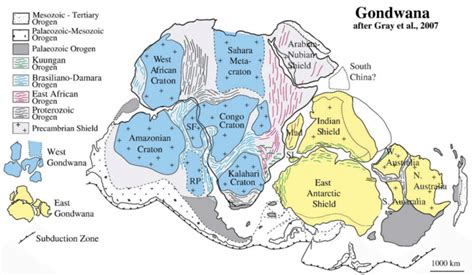 Map Of The Gondwana Supercontinent After Gray Et Al2007 Download