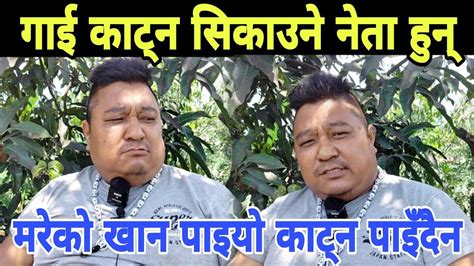 गाई काण्डमा आयो कडा कुराकानी Dharan Kanda Jan Awaj Nepal Youtube