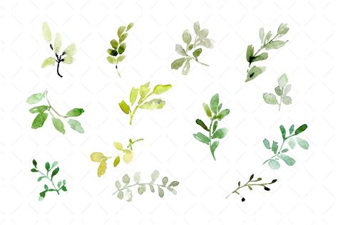 Watercolor Green Leaves Greenery Png By Watercolorflowers Thehungryjpeg
