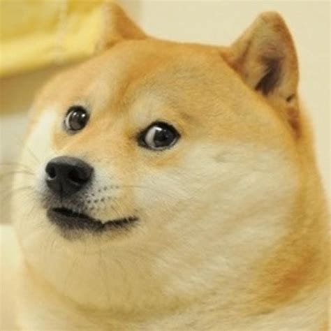Cheems Doge Pfp The Meme Typically Consists Of A Picture Of A Shiba