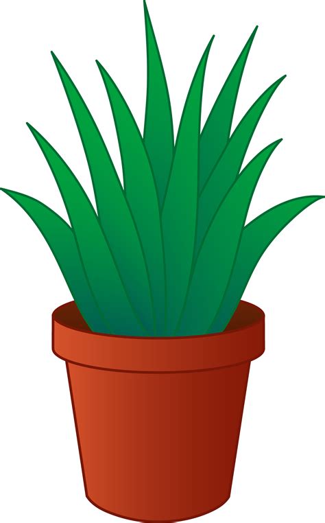 Potted Plants Pictures - Cliparts.co