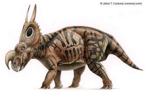 We did not find results for: Bisnis Cyberku XK: Bisnis Cyberku XK: 10 Dinosaurus ...