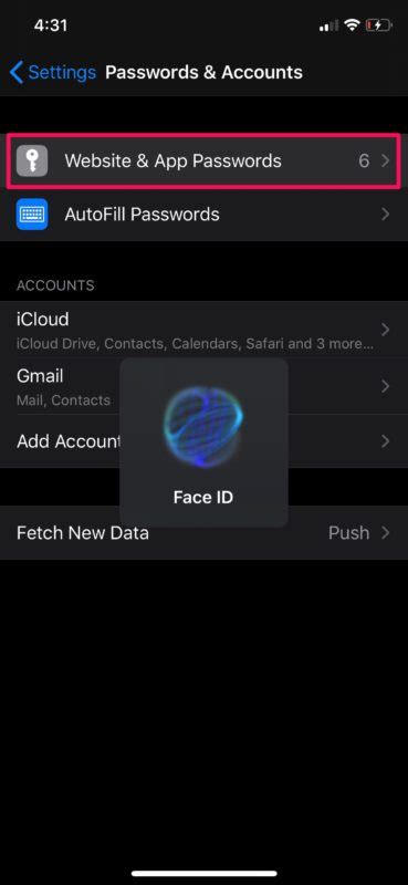 how to see accounts and passwords on iphone and ipad