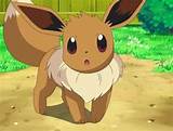 Images of Evolve Eevee Pokemon Sun