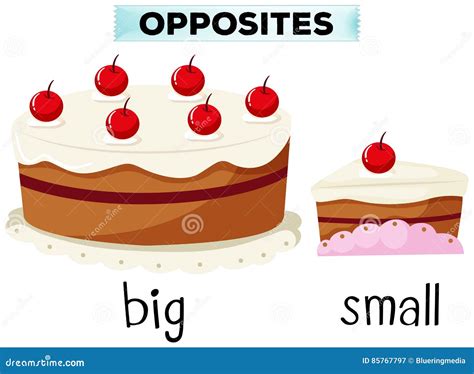 Opposite Big And Small Cartoon Vector 115565057