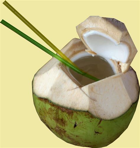 Air buah kelapa terkenal bisa membantu dalam menjaga kesehatan tubuh khususnya menangkal setiap racun yang masuk ke tubuh. SUPPLEMENTS FOR HEALTHS: 5 Khasiat Air Kelapa Muda Bagi ...